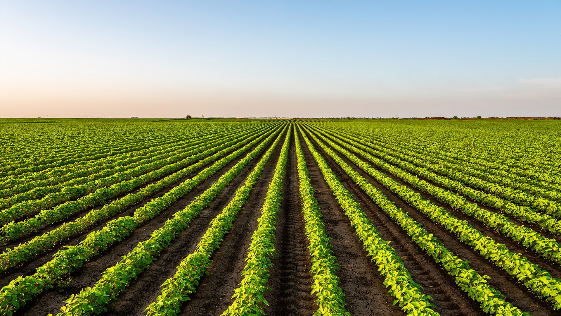 Campos Agrosa Cefer Campos Agrosa Cefer