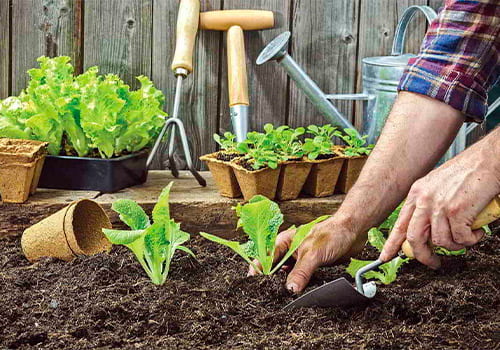 Tienda Agrícola Agrosa Cefer Tienda Agrícola Agrosa Cefer